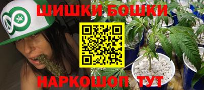 сатива Аргун