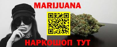 сатива Аргун
