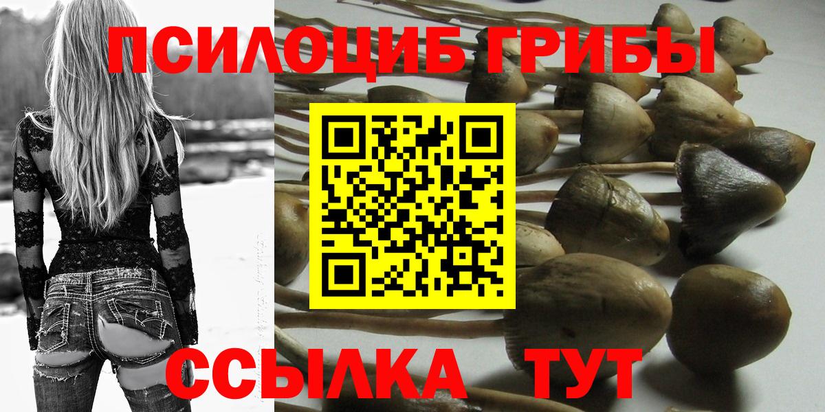 Березники  Псилоцибиновые грибы ЛСД  Галлюциногенные грибы Psilocybine cubensis  Вход с VPN 