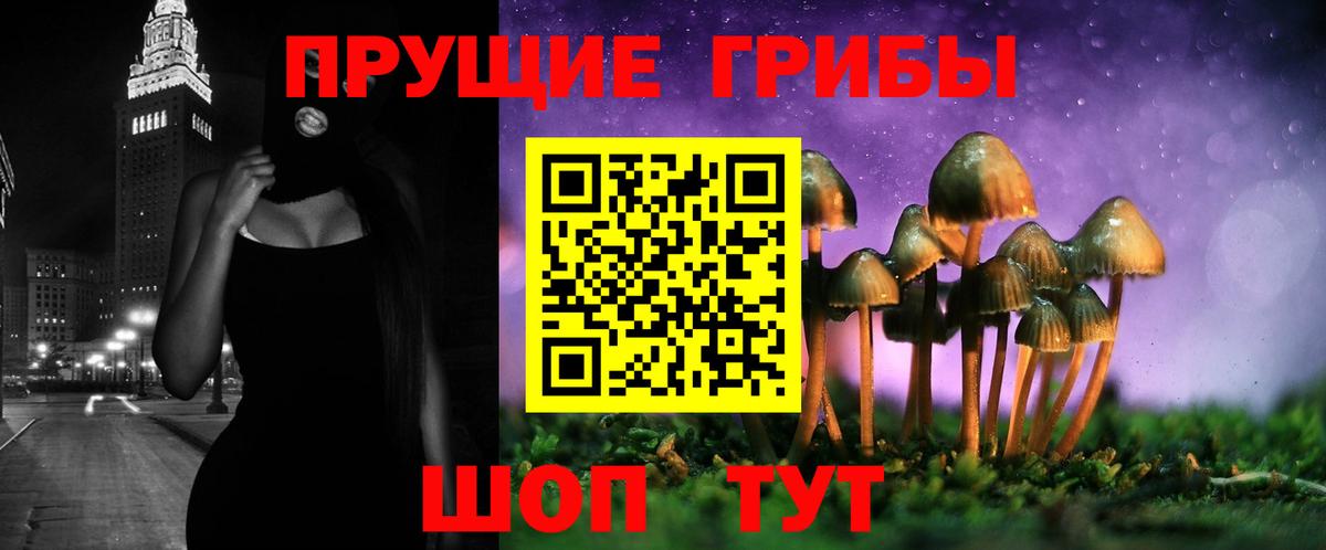 Псилоцибиновые грибы ЛСД Березники